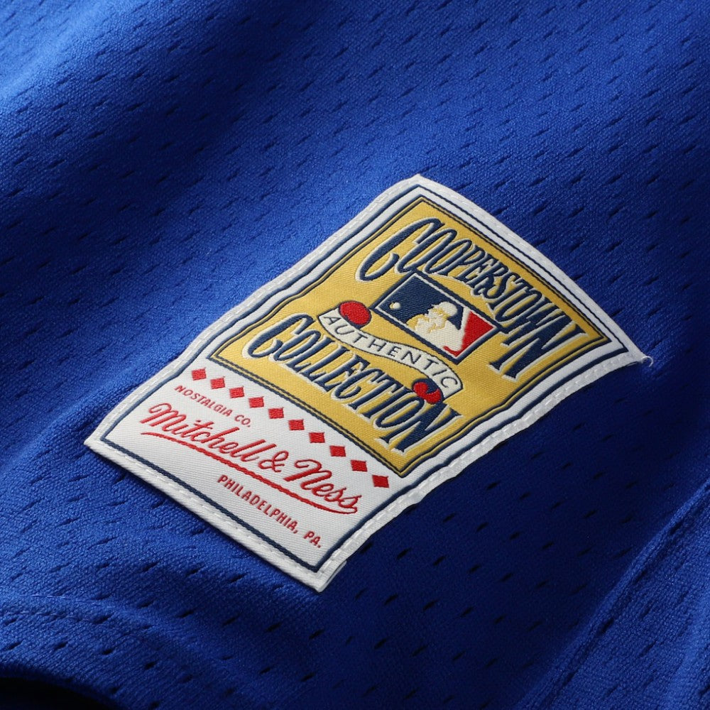 MLB Joe Carter Toronto Blue Jays Mitchell & Ness Authentic Batting Practice Jersey