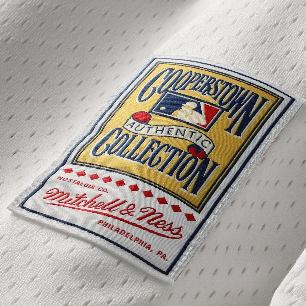 MLB Cal Ripken Jr. Baltimore Orioles Mitchell & Ness Authentic Batting Practice Jersey
