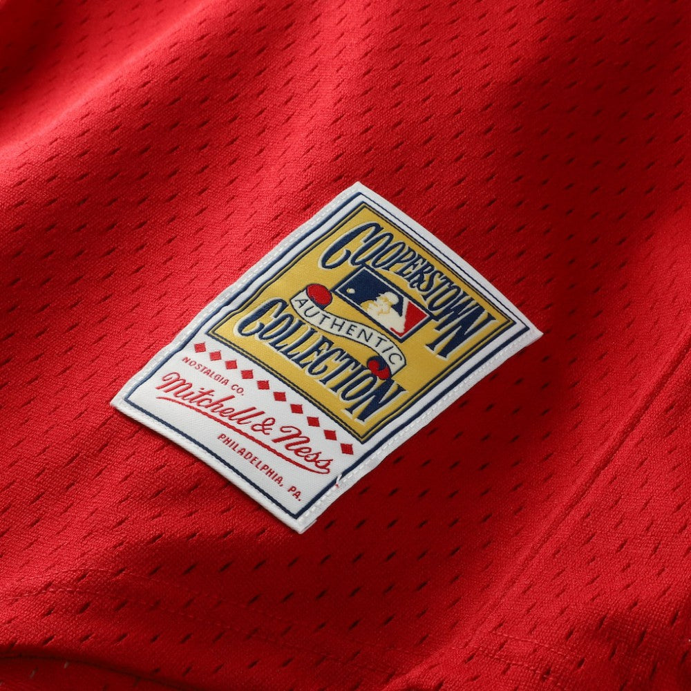 MLB Ozzie Smith St. Louis Cardinals Mitchell & Ness Authentic Batting Practice Jersey