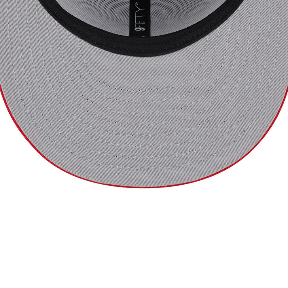 NBA Toronto Raptors Chenille Band 9FIFTY Snapback Hat