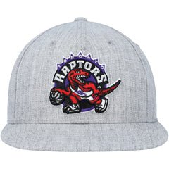 NBA Toronto Raptors Hardwood Classics 2.0 Snapback Hat