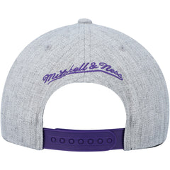NBA Toronto Raptors Hardwood Classics 2.0 Snapback Hat