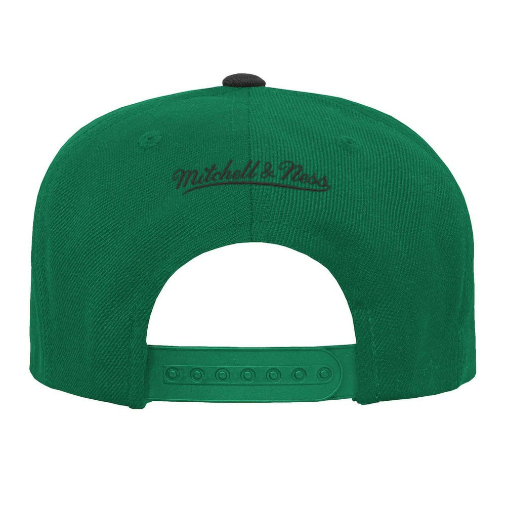 NBA Boston Celtics Youth Two-Tone Snapback Hat
