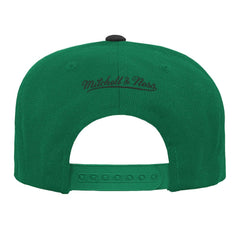NBA Boston Celtics Youth Two-Tone Snapback Hat