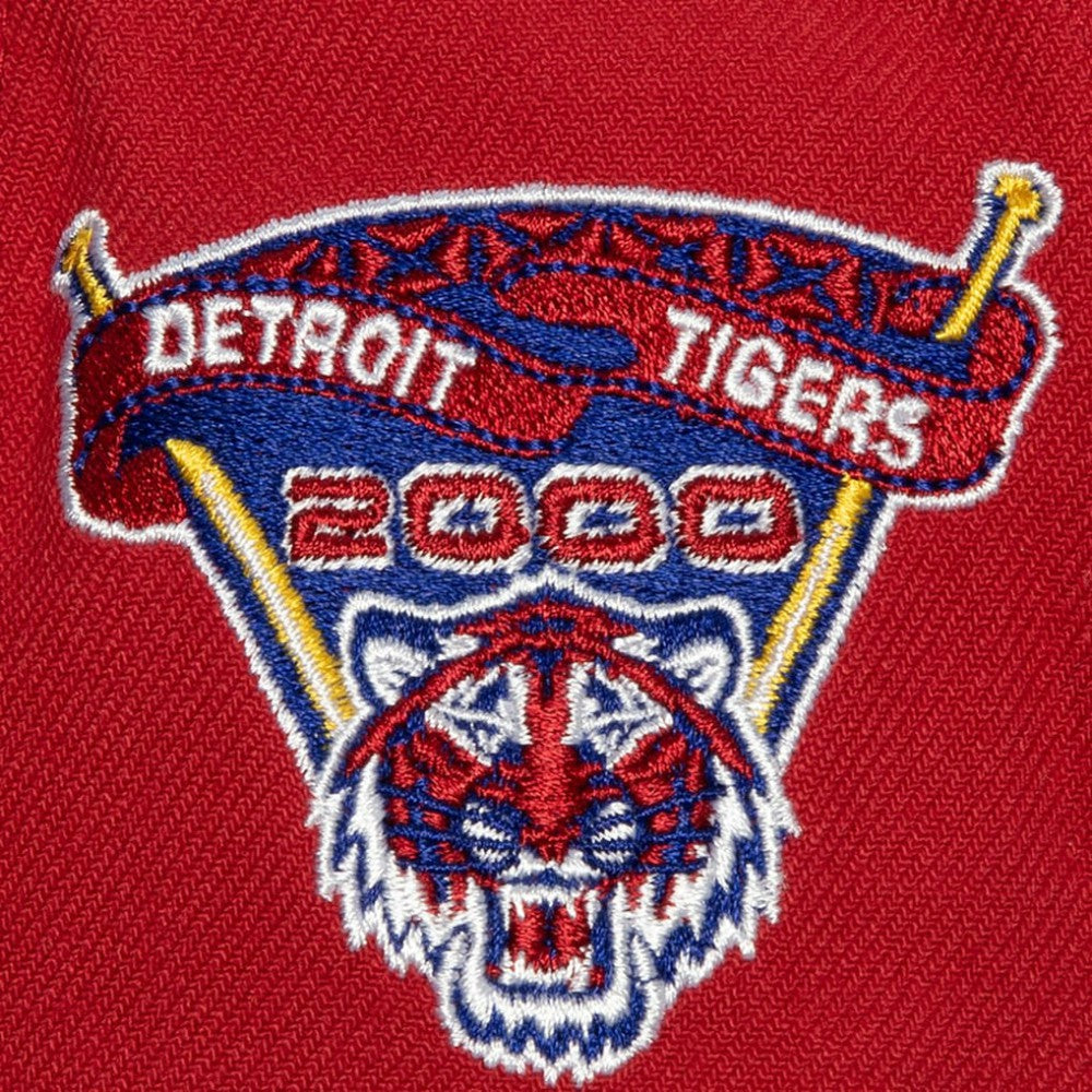 MLB Detroit Tigers Mitchell & Ness Hometown Snapback Hat
