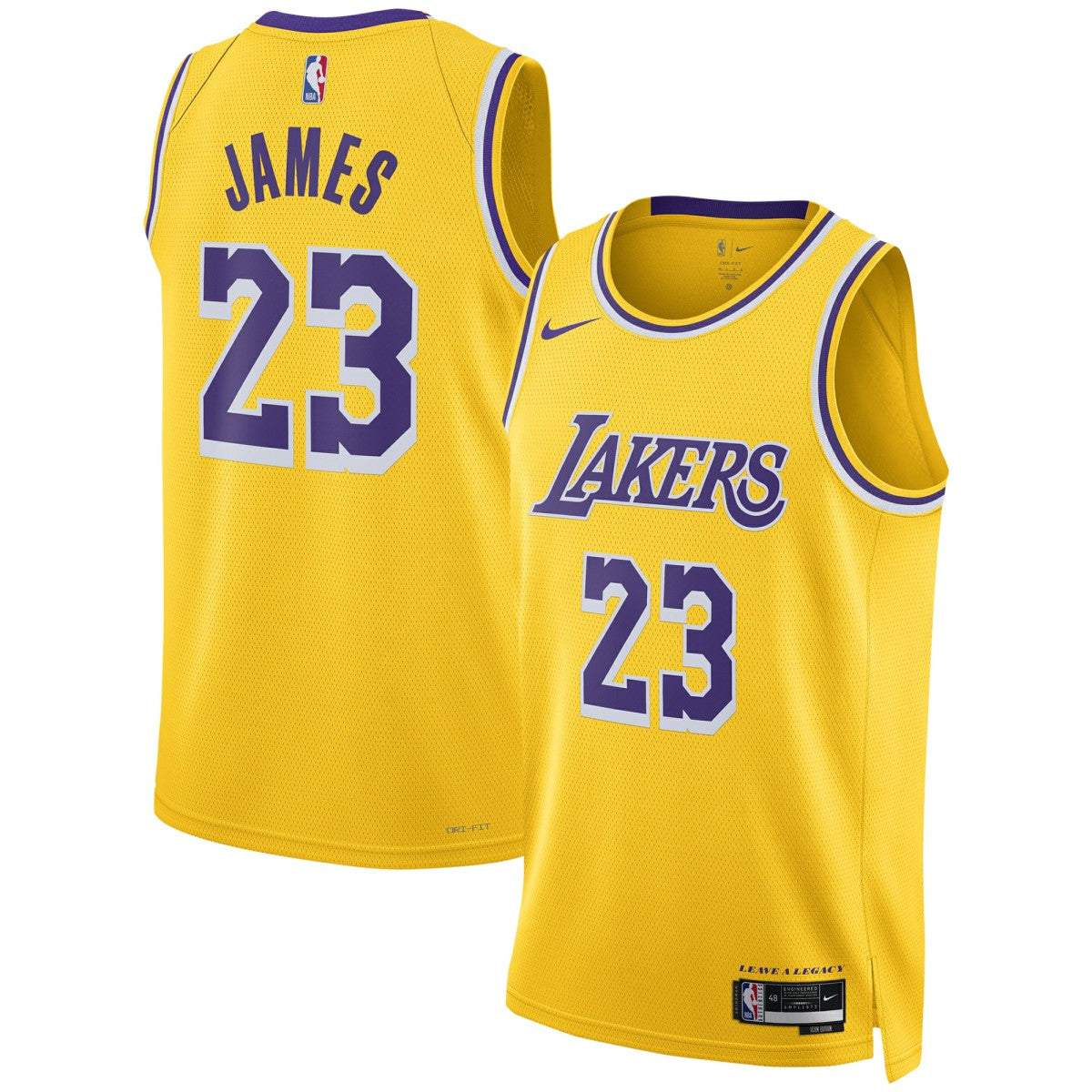 NBA LeBron James Los Angeles Lakers Unisex Swingman Jersey