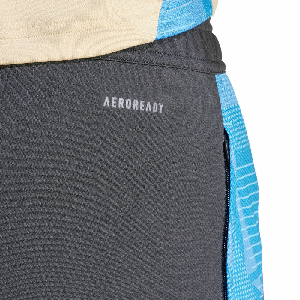 Argentina National Team 2024 AEROREADY Training Pants - Adidas Gray