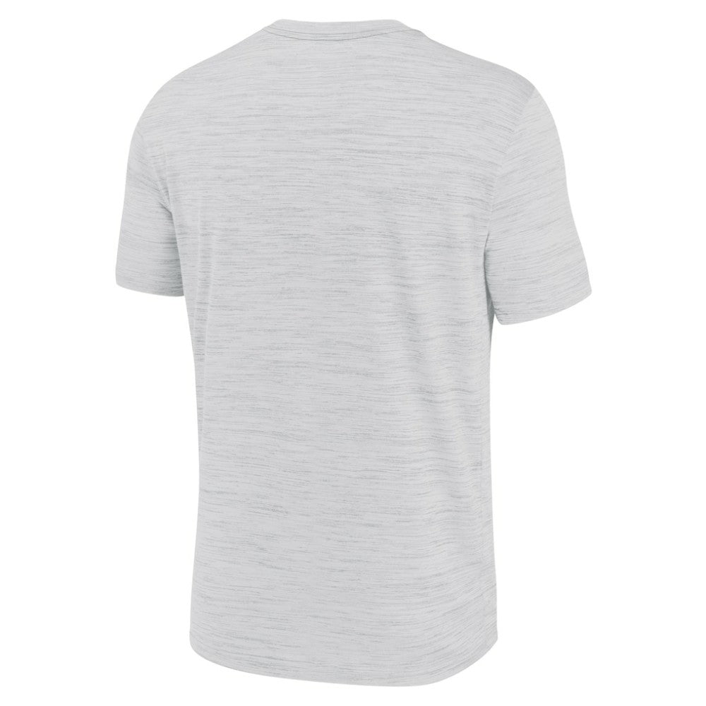 MLB Tampa Bay Rays Nike Authentic Collection Velocity Performance Practice T-Shirt