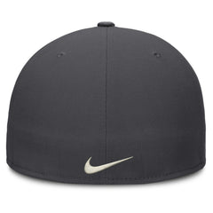 MLB Philadelphia Phillies Nike Dri-FIT True Fitted Hat