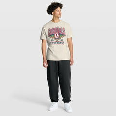 MLB St. Louis Cardinals Fanatics Stadium Slub T-Shirt