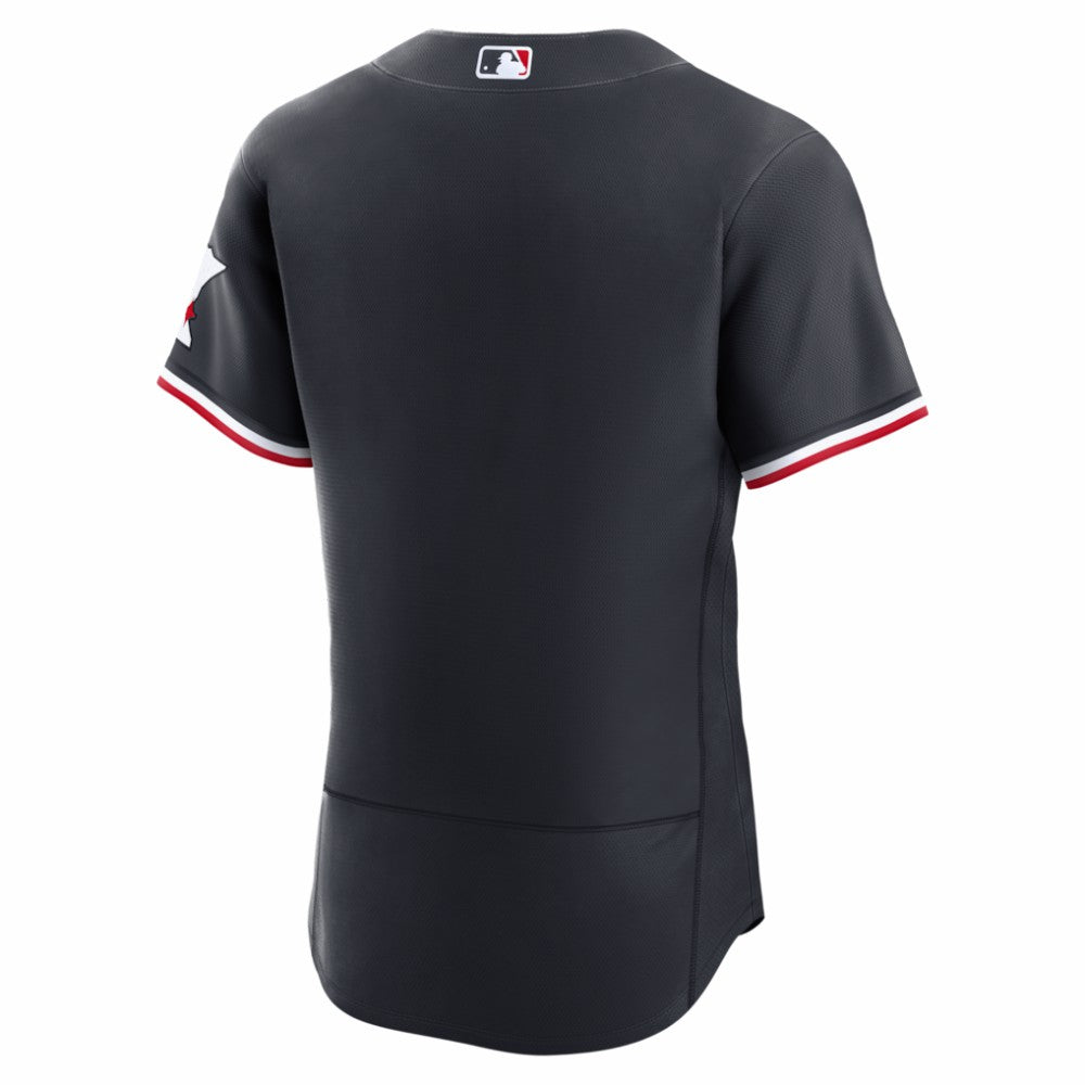 MLB Minnesota Twins Nike Alternate Authentic Jersey