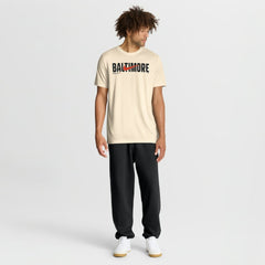 MLB Baltimore Orioles Nike Swoosh Legend Dri-FIT T-Shirt