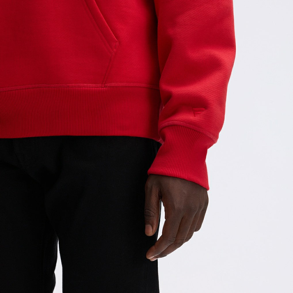 IconicFleece Flocked Hoodie - San Francisco 49ers