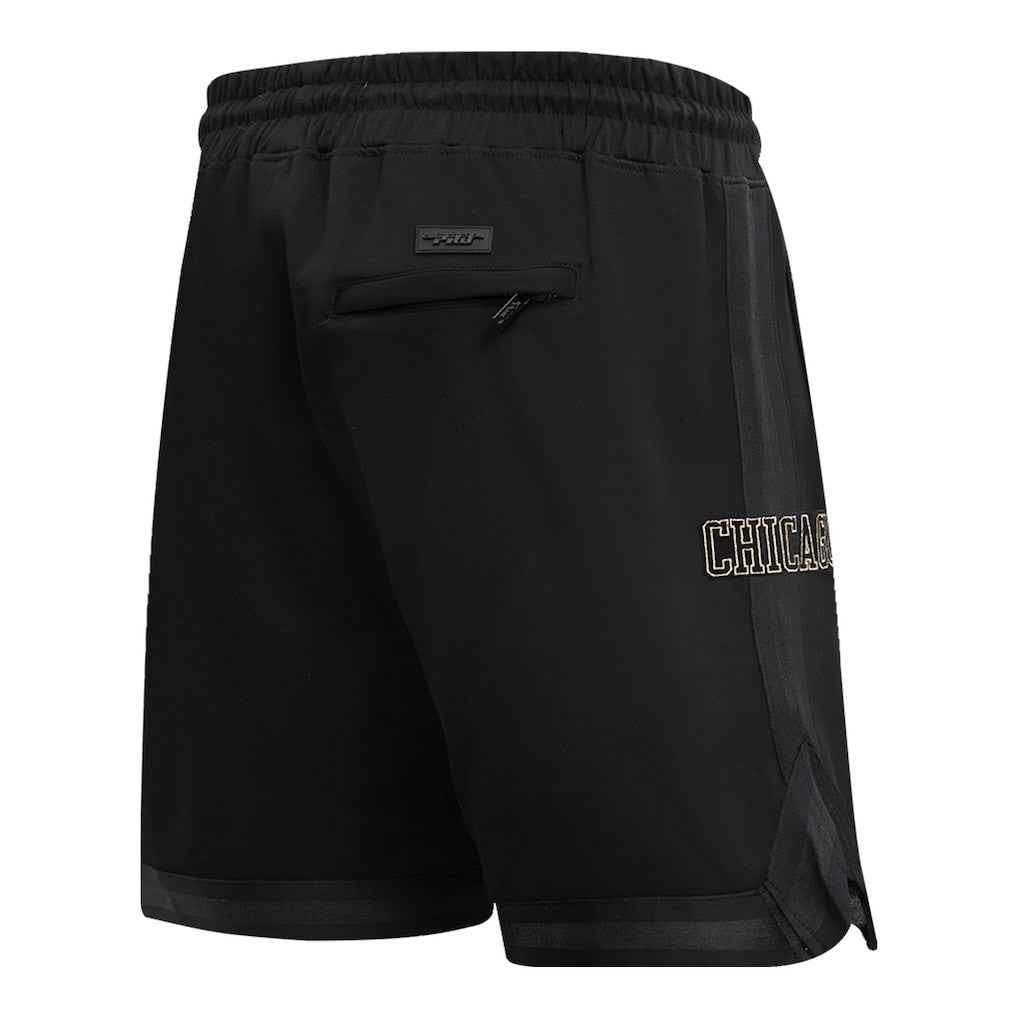 NBA Chicago Bulls Pro Standard Shorts