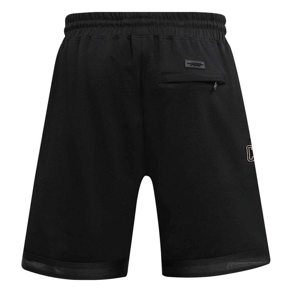 NBA Chicago Bulls Pro Standard Shorts