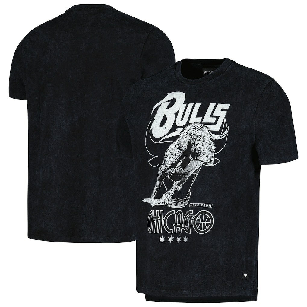 NBA Chicago Bulls The Wild Collective Unisex Tour Band T-Shirt sale