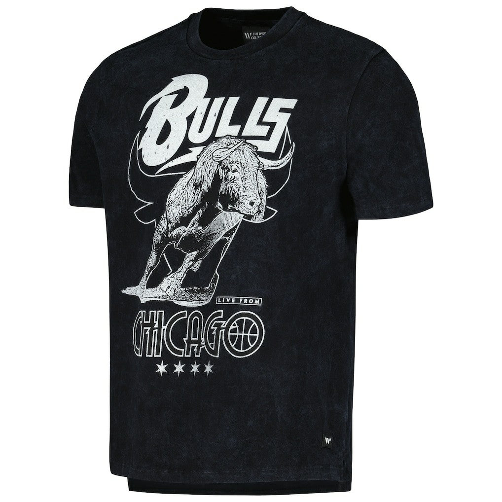 NBA Chicago Bulls The Wild Collective Unisex Tour Band T-Shirt sale