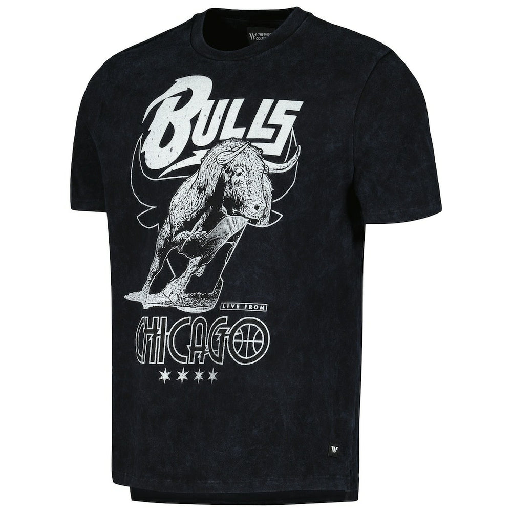 NBA Chicago Bulls The Wild Collective Unisex Tour Band T-Shirt sale