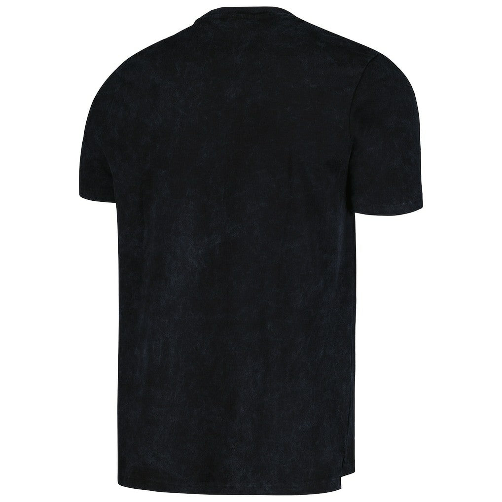 NBA Chicago Bulls The Wild Collective Unisex Tour Band T-Shirt sale