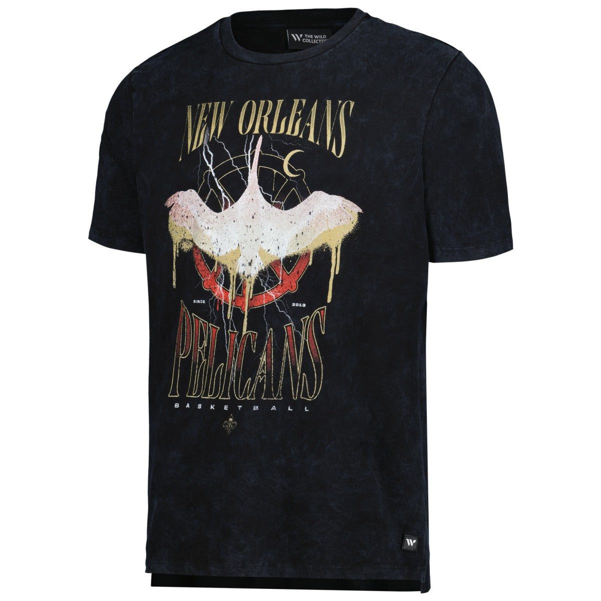 NBA New Orleans Pelicans The Wild Collective Unisex Tour Band T-Shirt
