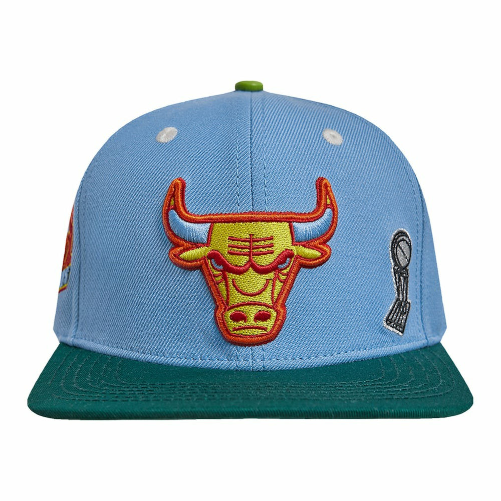 NBA Chicago Bulls Pro Standard Retro Program 2-Tone Snapback Hat