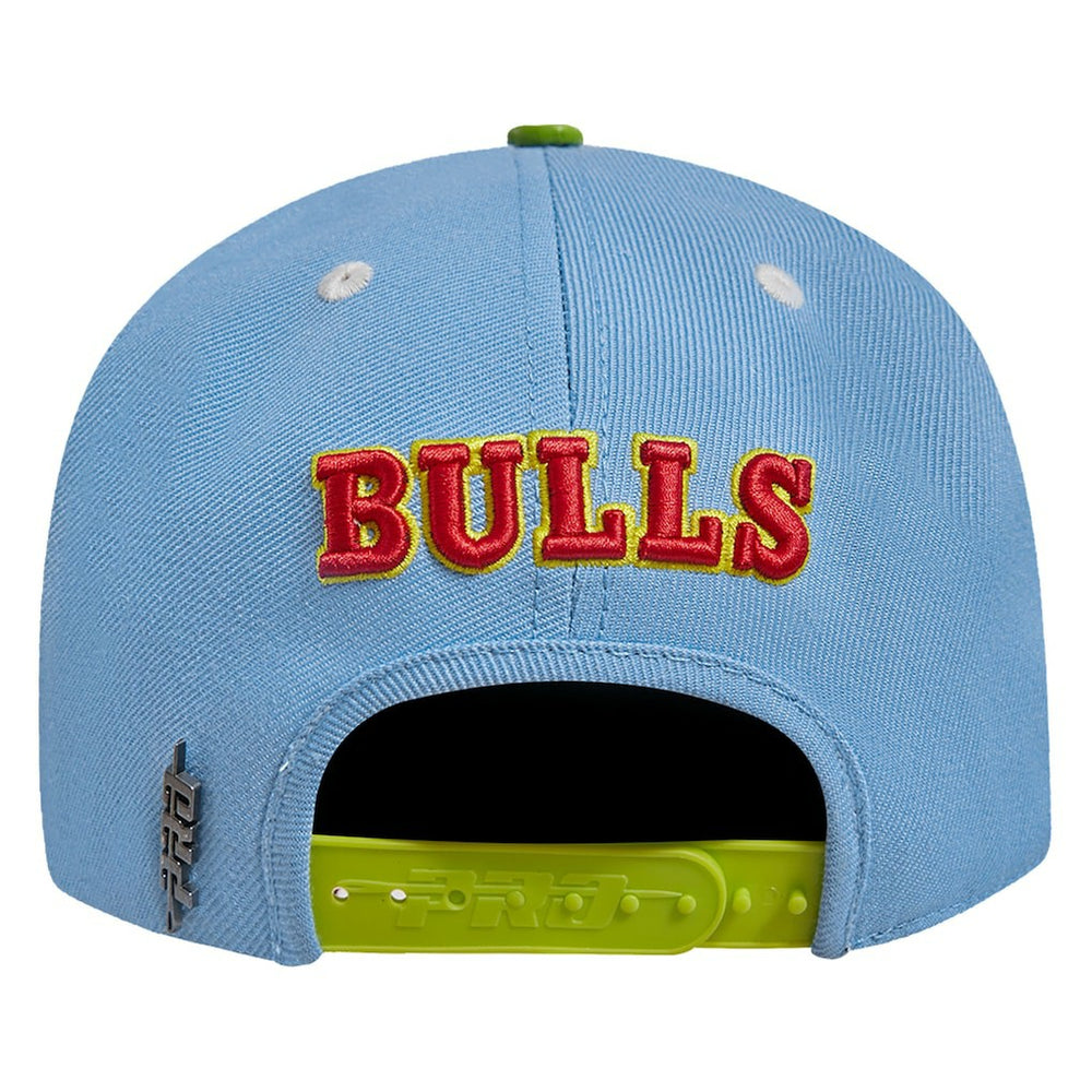 NBA Chicago Bulls Pro Standard Retro Program 2-Tone Snapback Hat