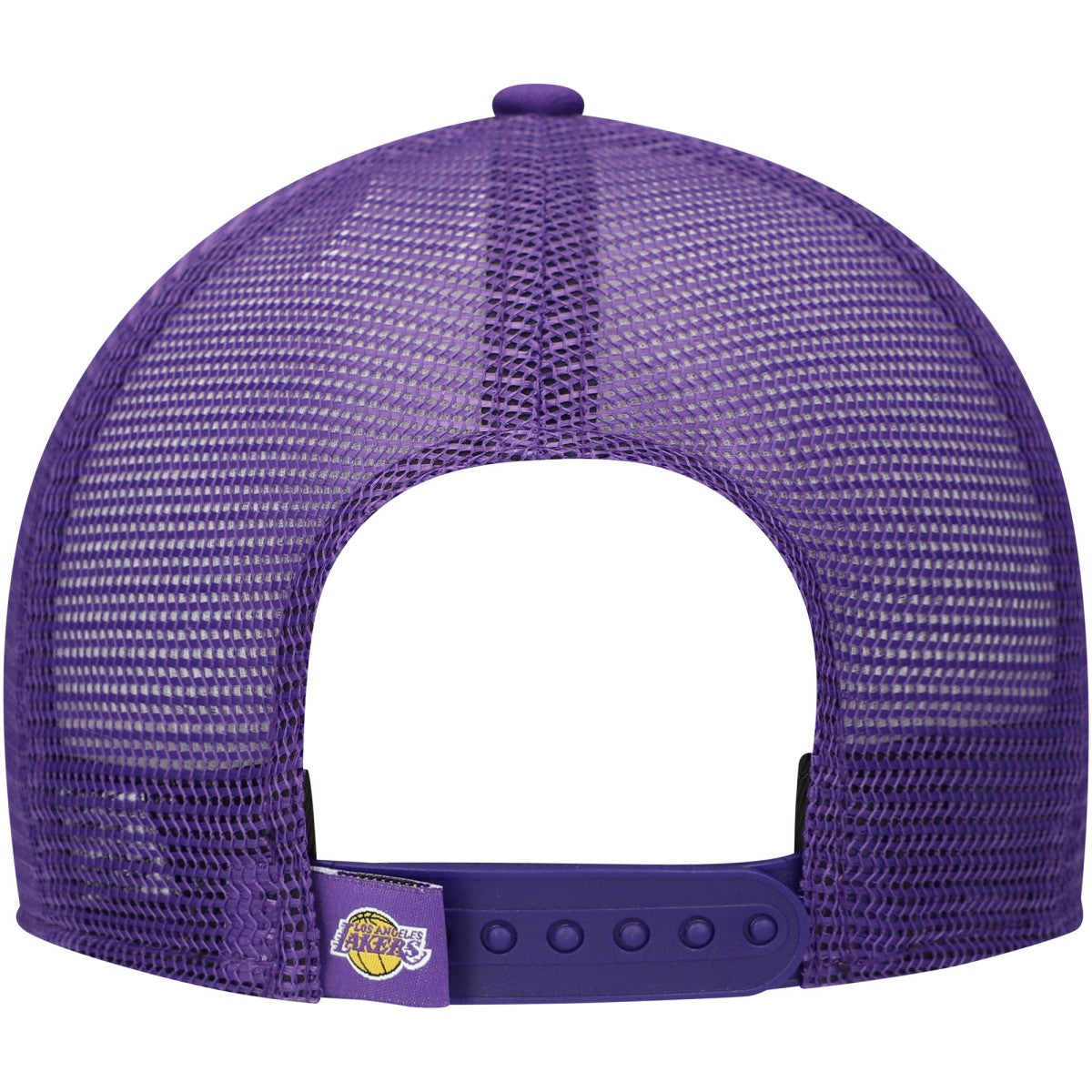 NBA Los Angeles Lakers Youth Court Sport Mascot 9FIFTY Snapback Hat