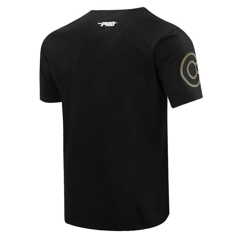 NHL Black Colorado Avalanche Pro Standard Wordmark T-Shirt