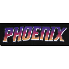 NBA Phoenix Suns Pro Standard 2023/24 City Edition Pullover Hoodie