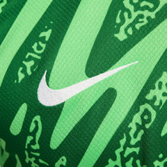 Paris Saint-Germain 2024/25 Goalkeeper Replica Stadium Long Sleeve Jersey - Nike Green