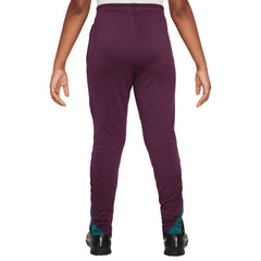 Paris Saint-Germain Youth 2024/25 Strike Training Pants - Nike Burgundy
