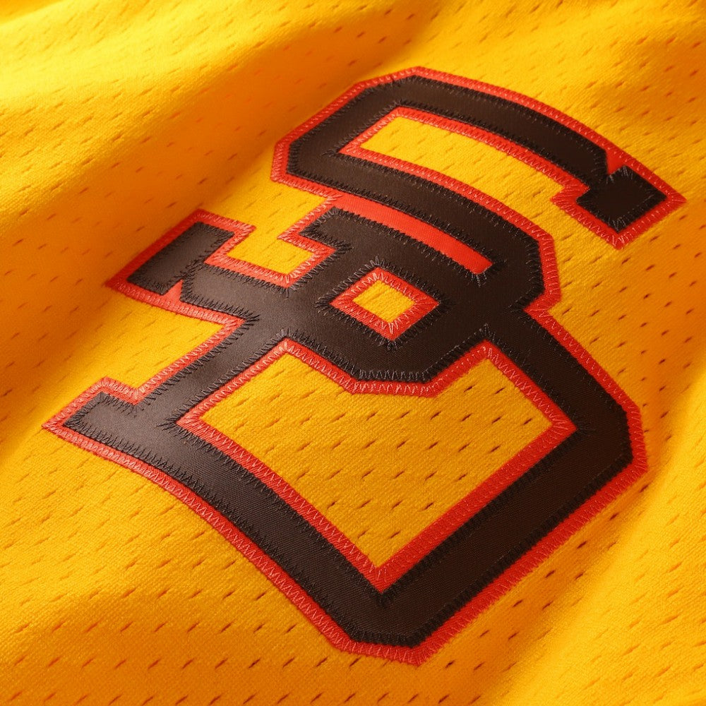 MLB Tony Gwynn San Diego Padres Mitchell & Ness Authentic Batting Practice Jersey