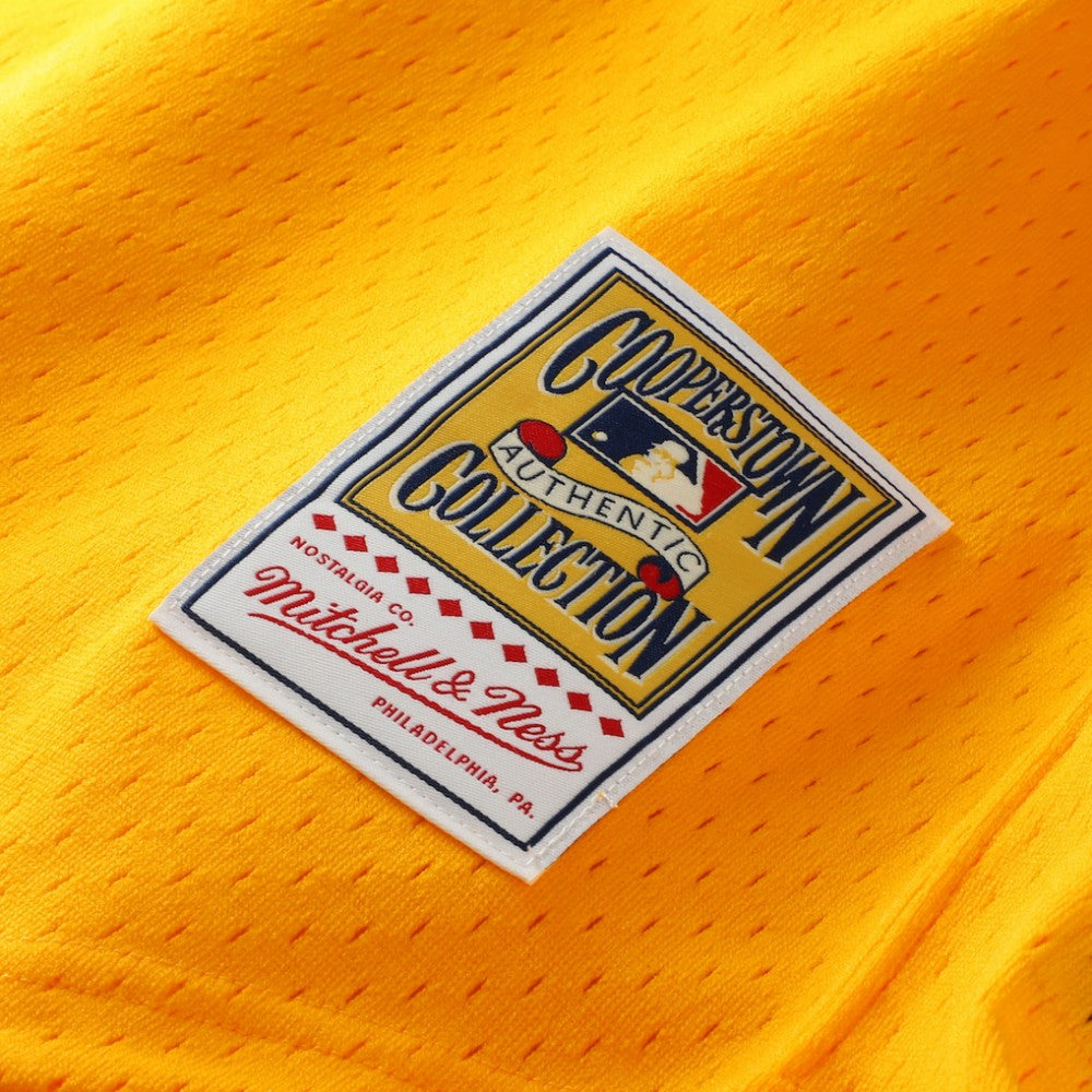 MLB Tony Gwynn San Diego Padres Mitchell & Ness Authentic Batting Practice Jersey