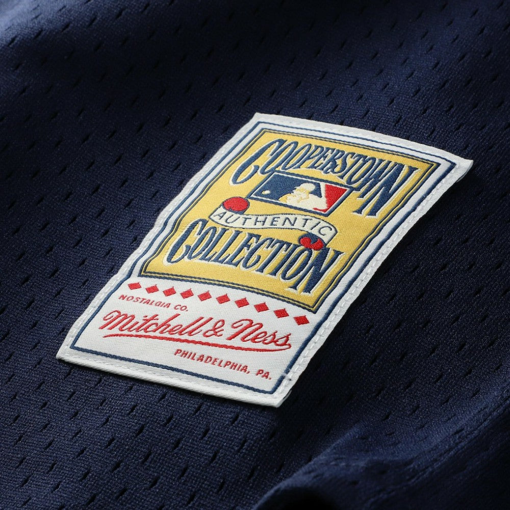 MLB Carlton Fisk Chicago White Sox Mitchell & Ness Authentic Batting Practice Jersey