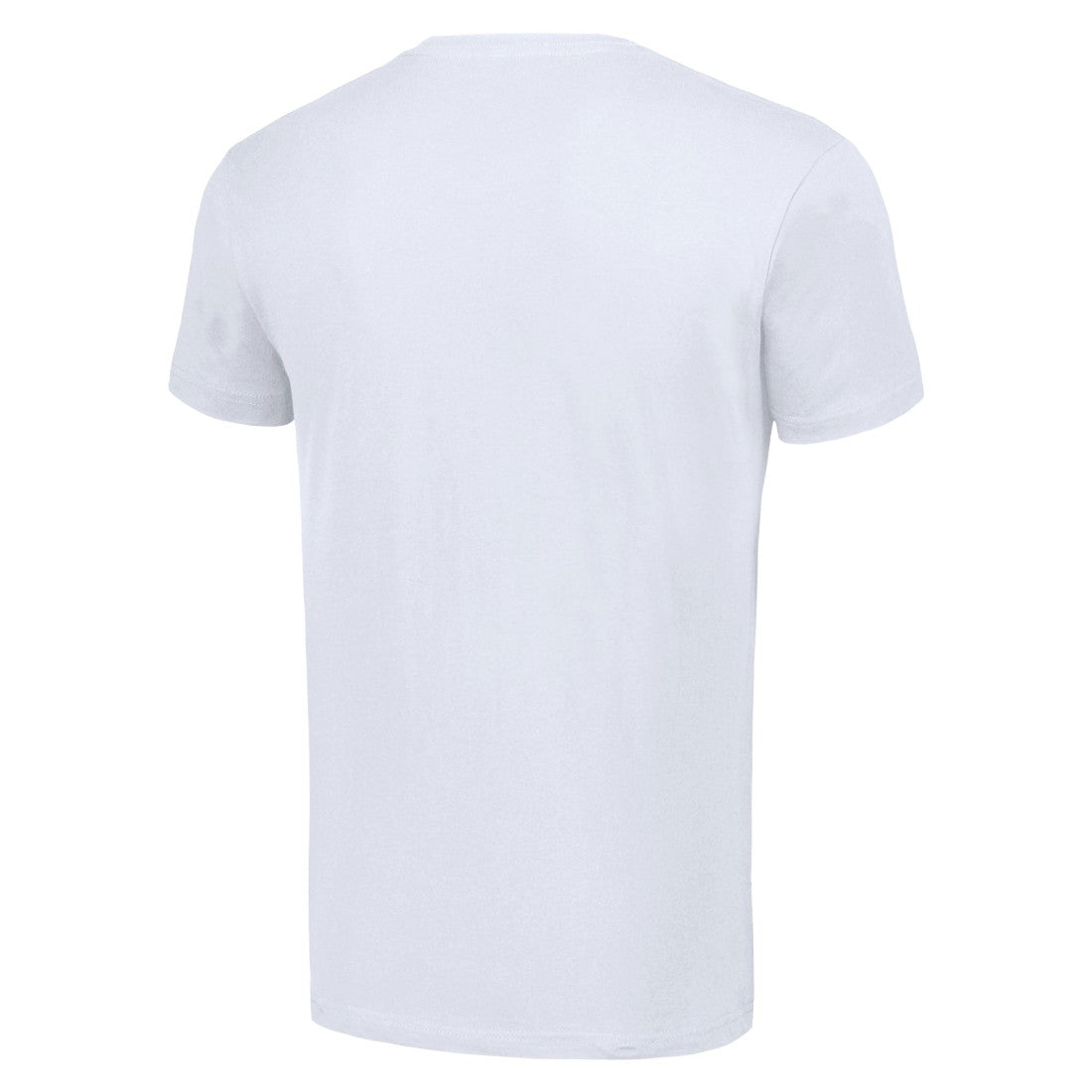 Starter Tailsweep T-Shirt - Detroit Lions