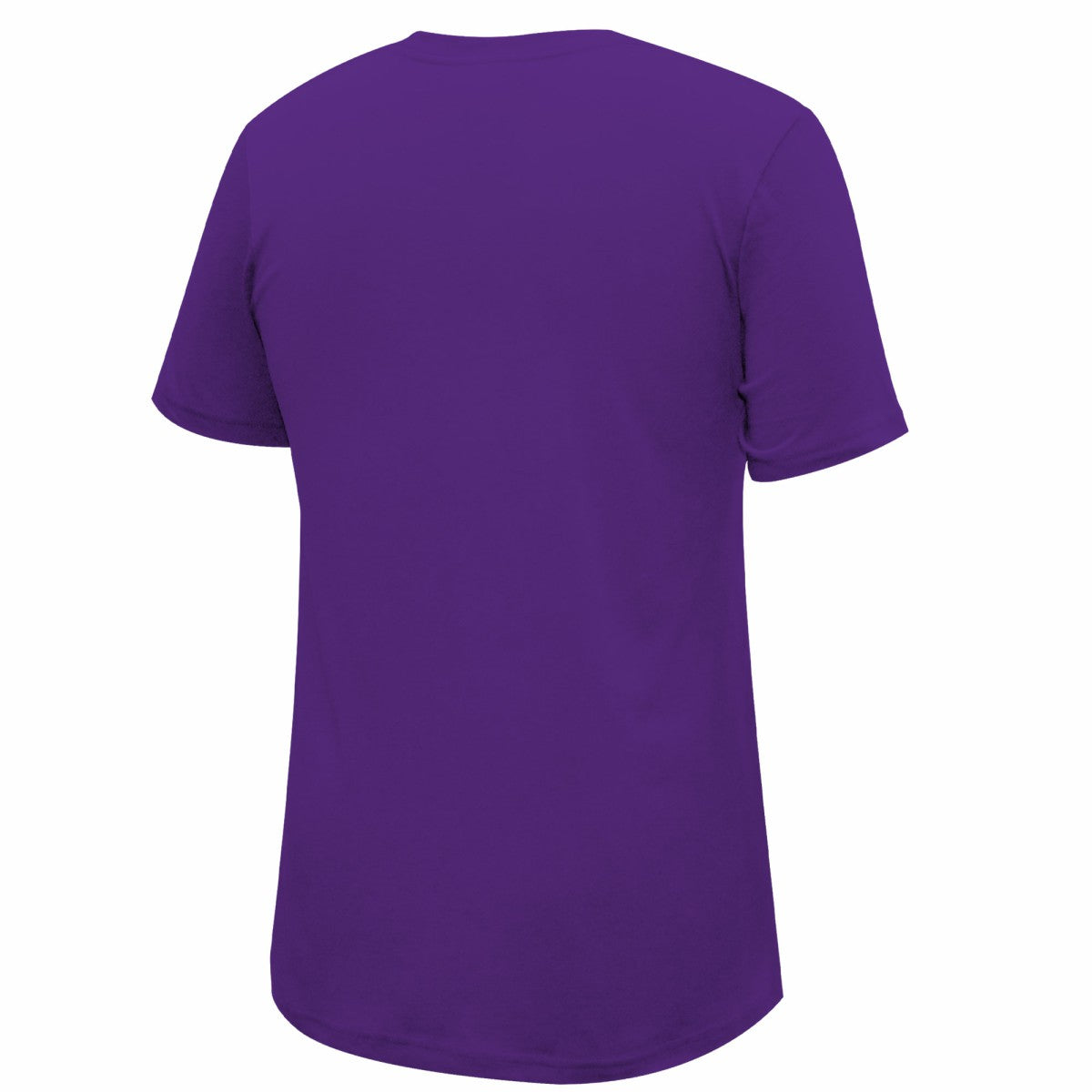 NBA Los Angeles Lakers Stadium Essentials Unisex Primary Logo T-Shirt