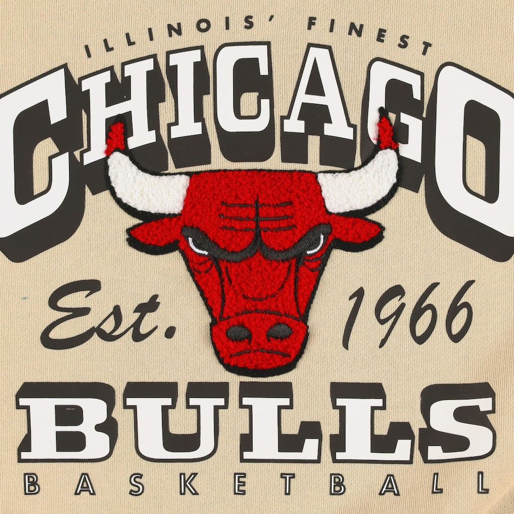 NBA Chicago Bulls Qore Women's Oversized Cozy Mock Neck Pullover Sweatshirt