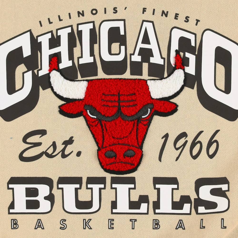 NBA Chicago Bulls Qore Women's Oversized Cozy Mock Neck Pullover Sweatshirt