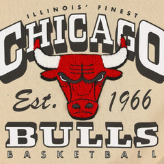 NBA Chicago Bulls Qore Women's Oversized Cozy Mock Neck Pullover Sweatshirt