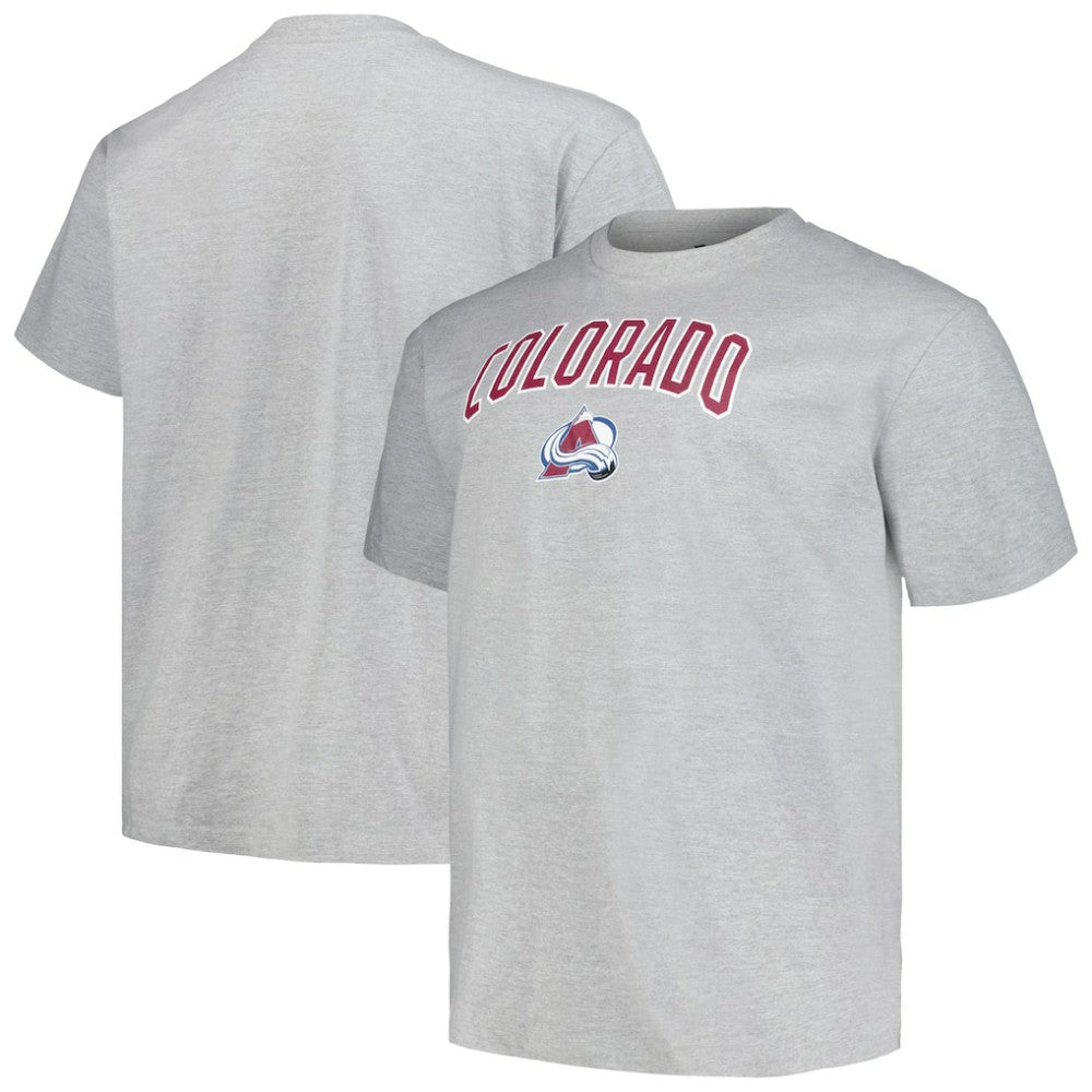 NHL Heather Gray Colorado Avalanche Profile Big & Tall Arch Over Logo T-Shirt