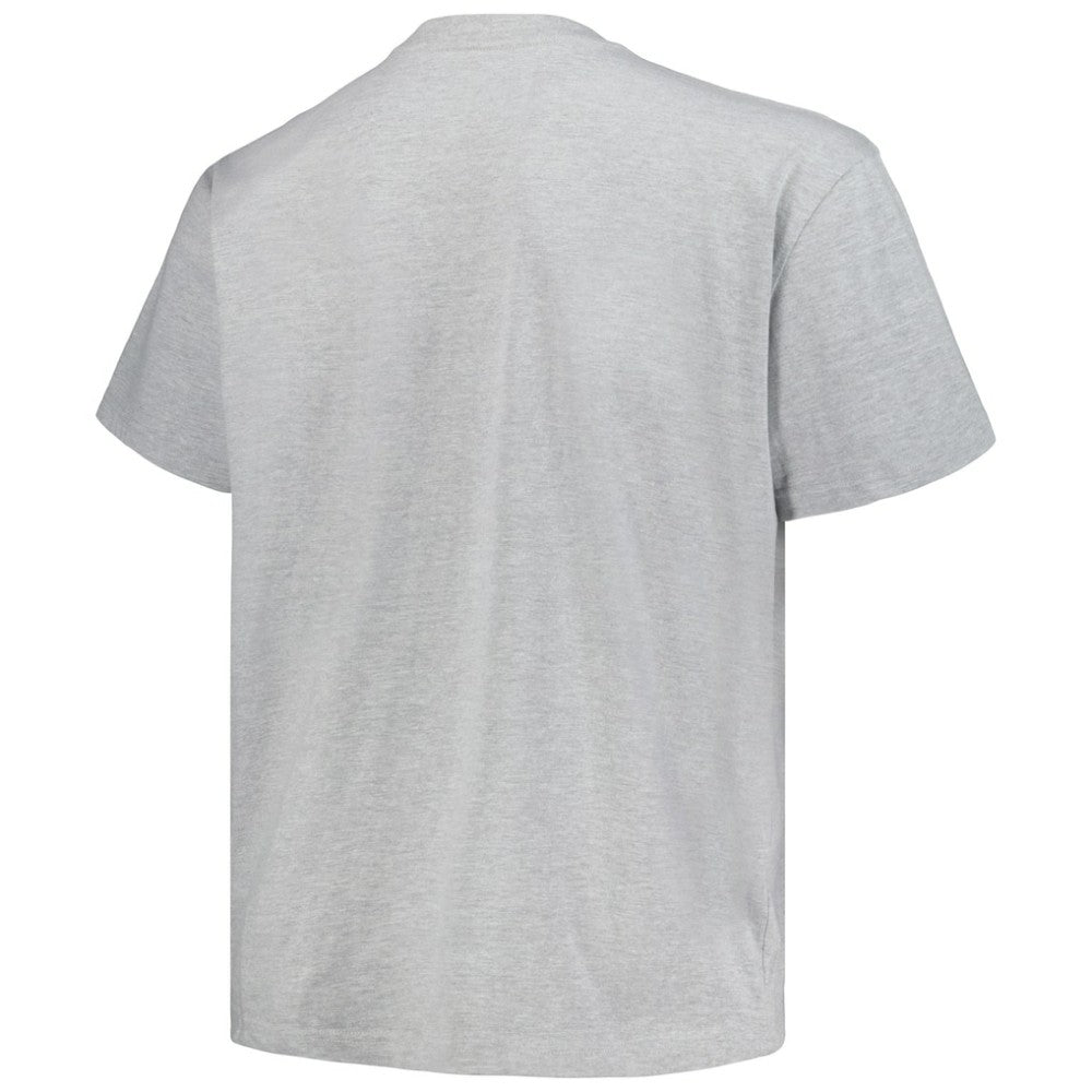 NHL Heather Gray Colorado Avalanche Profile Big & Tall Arch Over Logo T-Shirt
