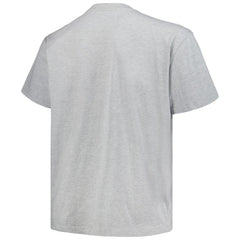 NHL Heather Gray Colorado Avalanche Profile Big & Tall Arch Over Logo T-Shirt