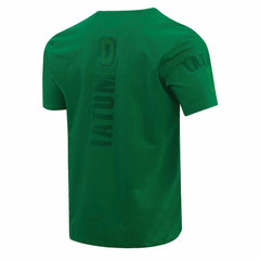 NBA Jayson Tatum Boston Celtics Pro Standard Triple Tonal Player T-Shirt