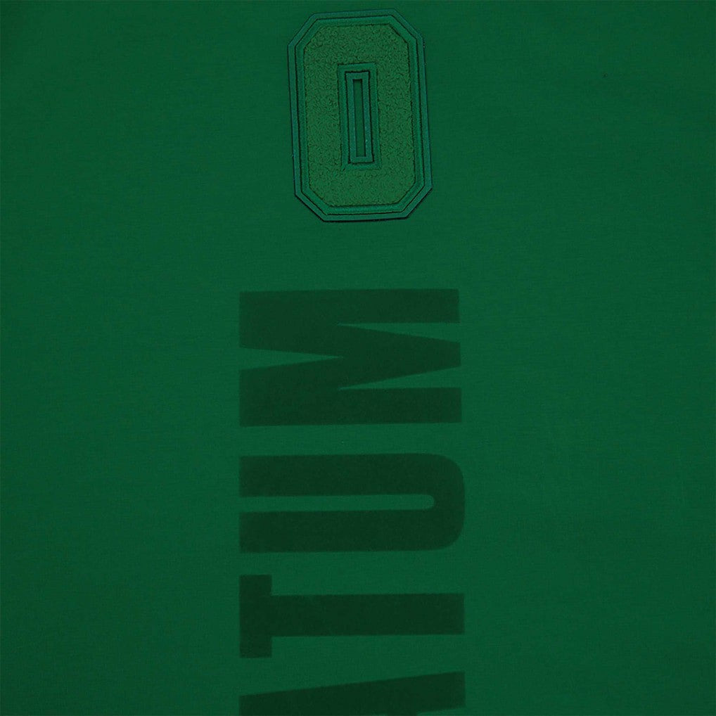 NBA Jayson Tatum Boston Celtics Pro Standard Triple Tonal Player T-Shirt