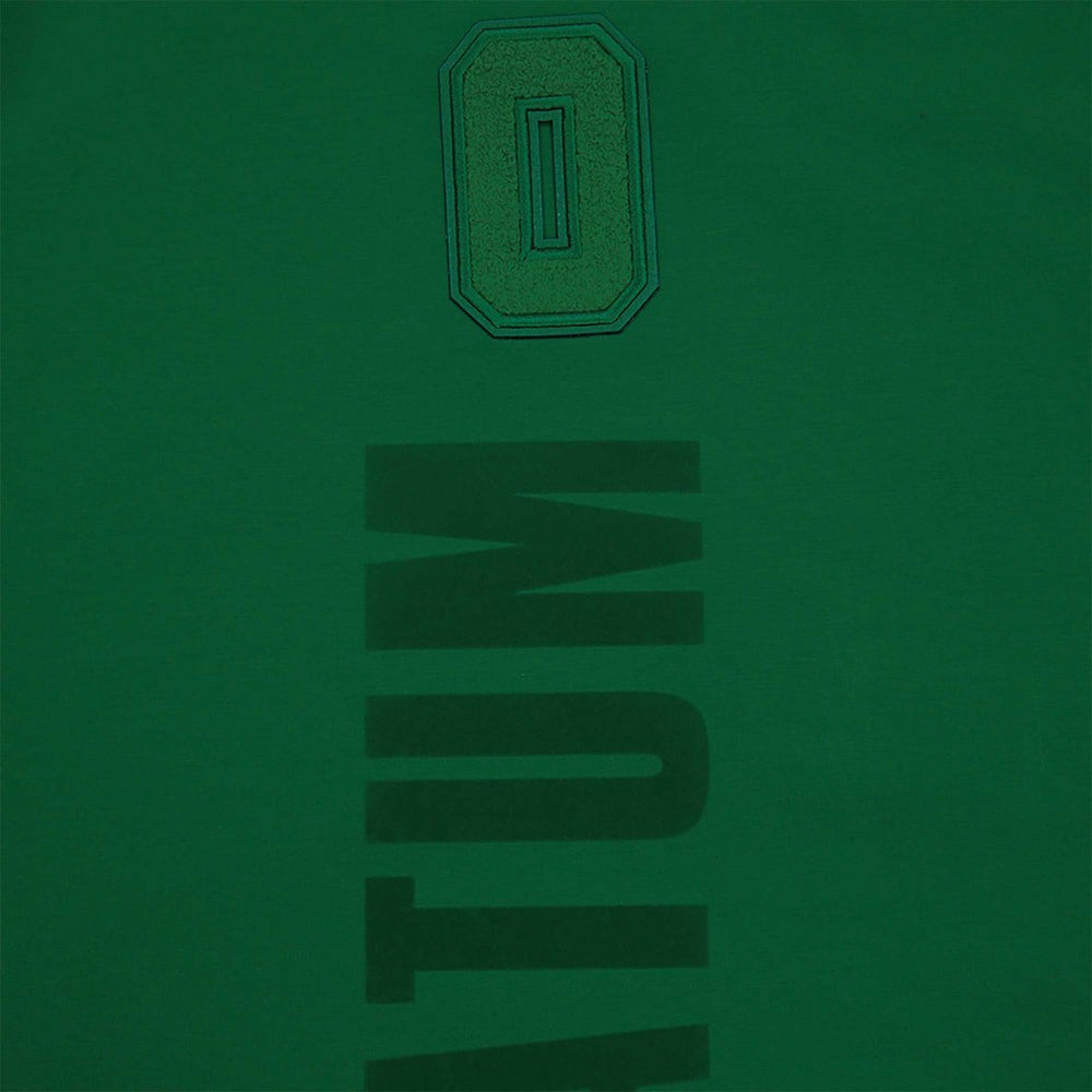 NBA Jayson Tatum Boston Celtics Pro Standard Triple Tonal Player T-Shirt