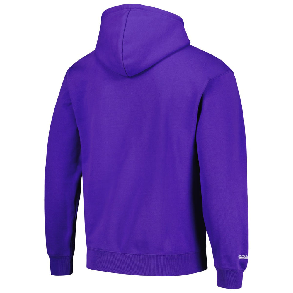 NBA Sacramento Kings Hardwood Classics Tonal Pullover Hoodie
