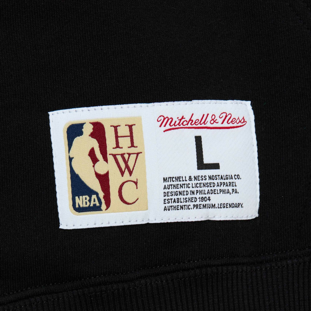 NBA Toronto Raptors Hardwood Classics Tonal Pullover Hoodie