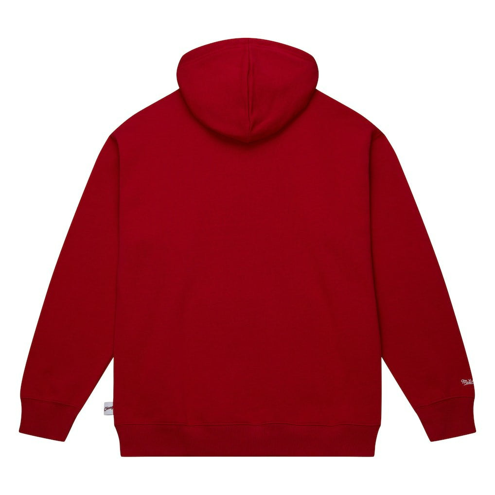 NBA Chicago Bulls Hardwood Classics Tonal Pullover Hoodie sale