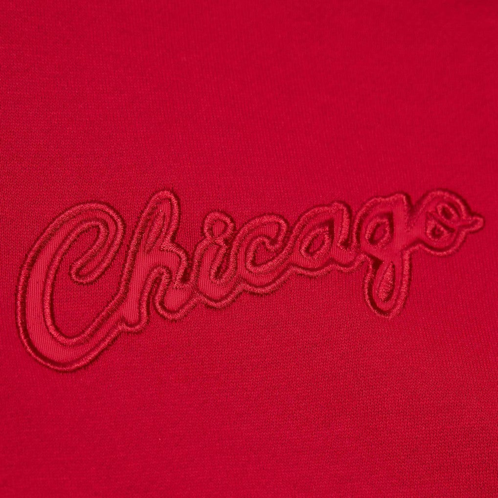 NBA Chicago Bulls Hardwood Classics Tonal Pullover Hoodie sale
