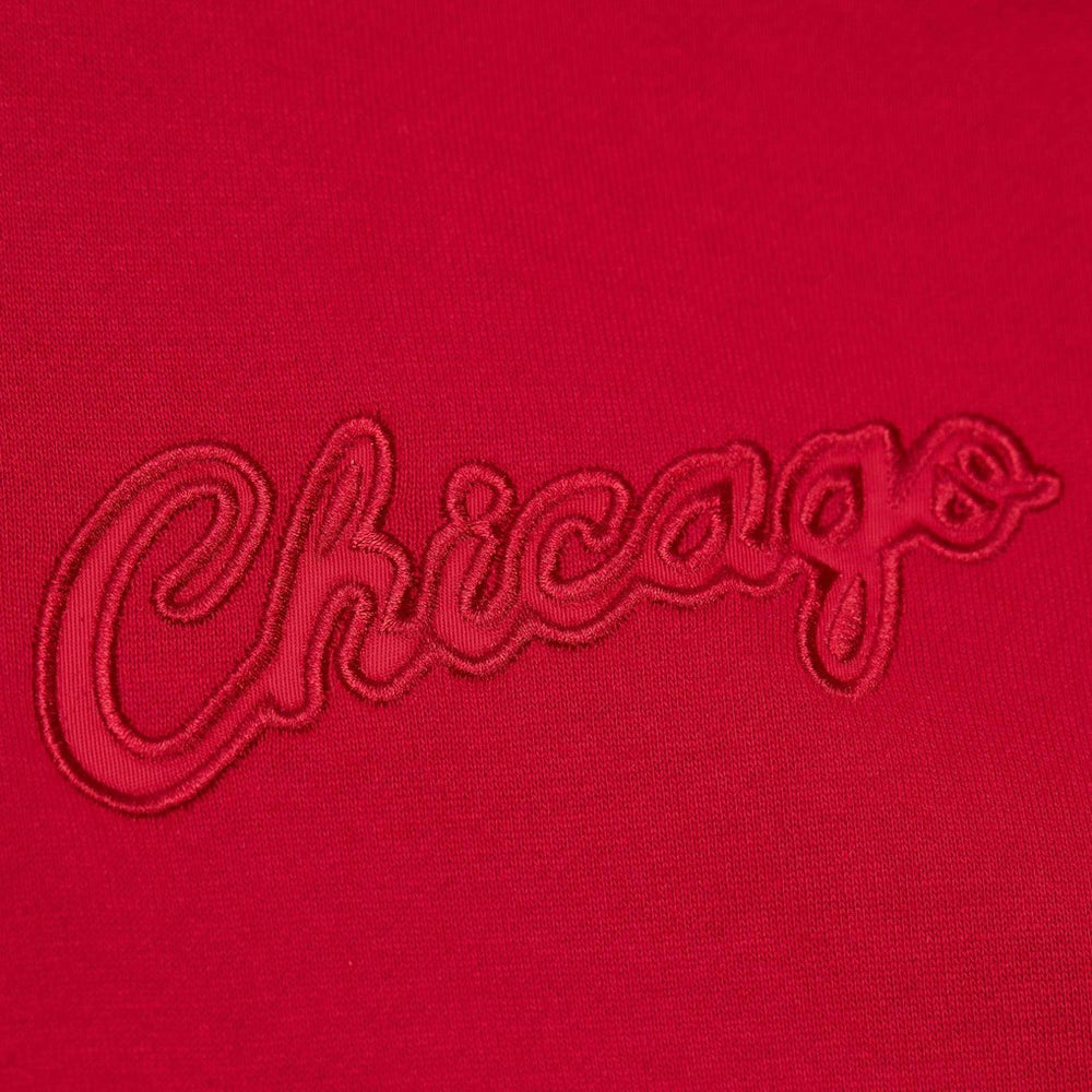 NBA Chicago Bulls Hardwood Classics Tonal Pullover Hoodie sale
